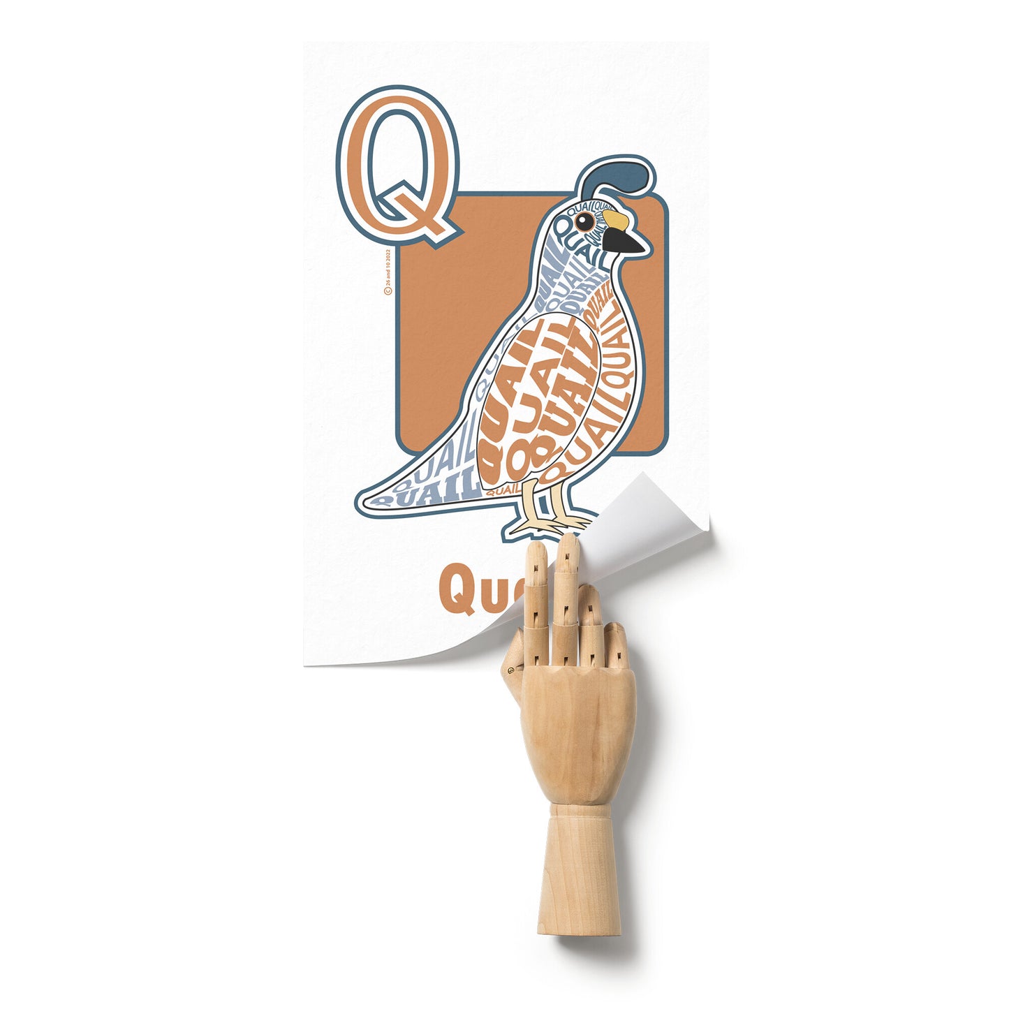 Q is for Quail